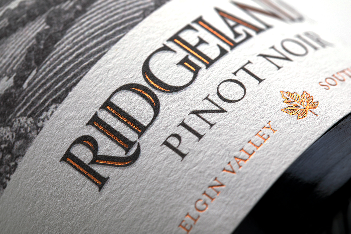 wine Label eagle pencil Drawing  Elgin pinot noir syrah logo foil