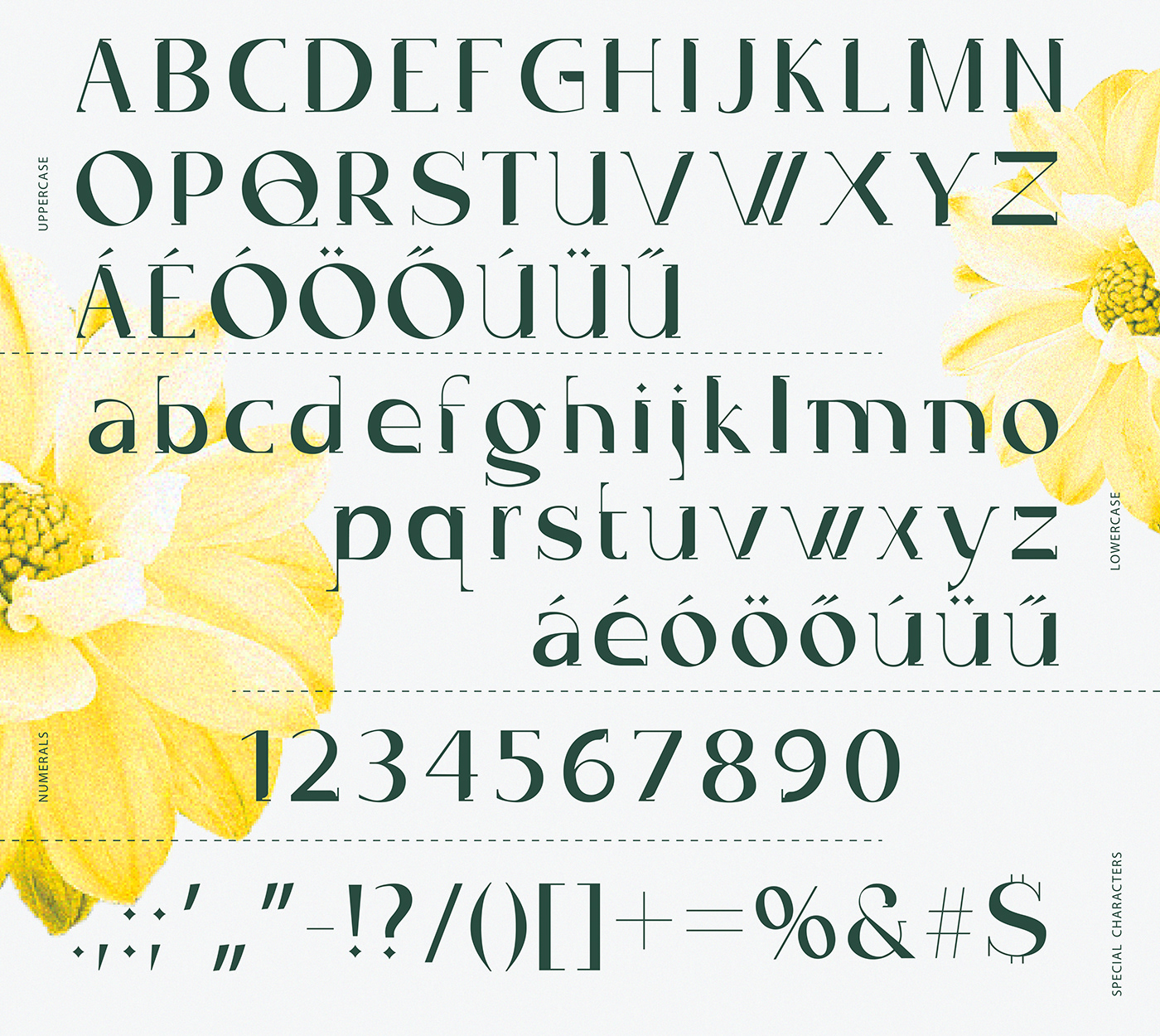 typography   font fontdesign Typeface typeface design typo graphic design  typography design fonts type design
