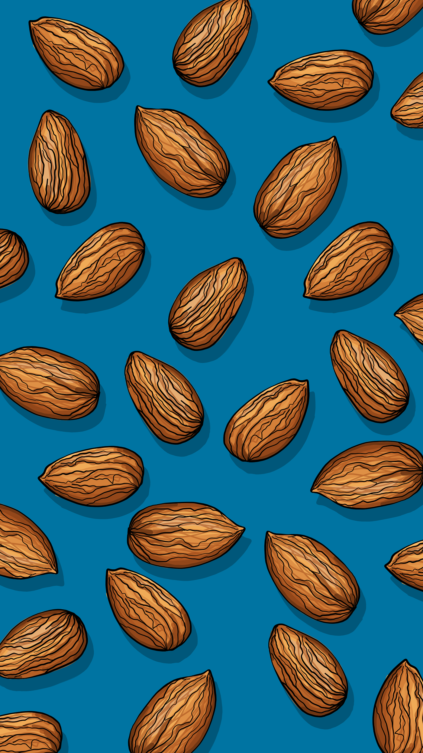 ILLUSTATONS Food  nuts adobe draw graphic design  iPhone background