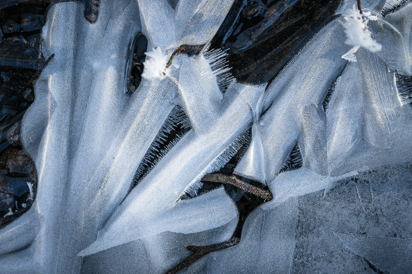 winter macro ice landscape photography Nature water abstract leaves texture Macro Photography