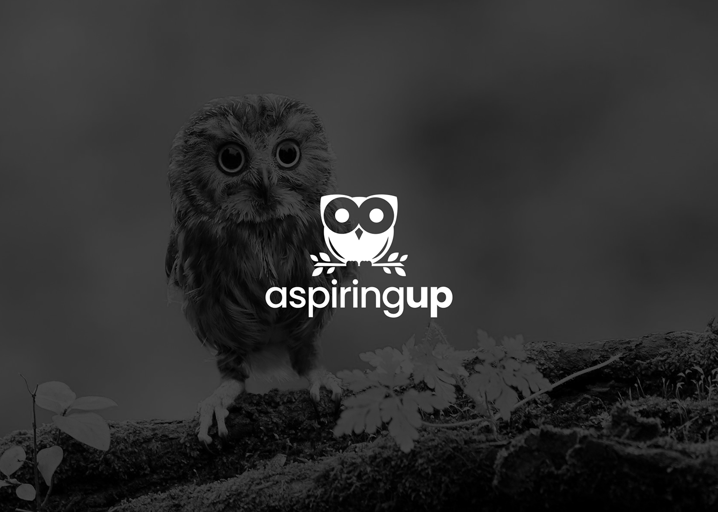 aspire Education logo design Coach bird red leader owl leaves