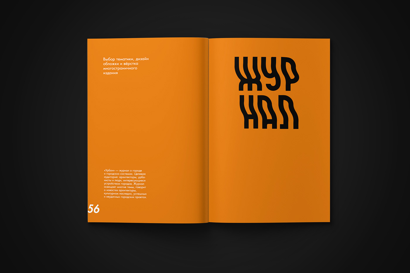 design graphic design  Layout magazine portfolio Resume type typography   графический дизайн портфолио