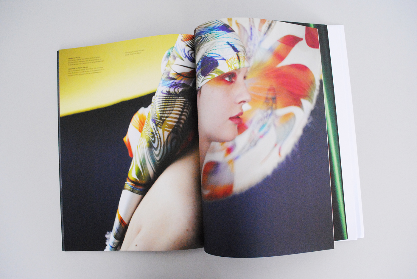 Adobe Portfolio arts brochure print