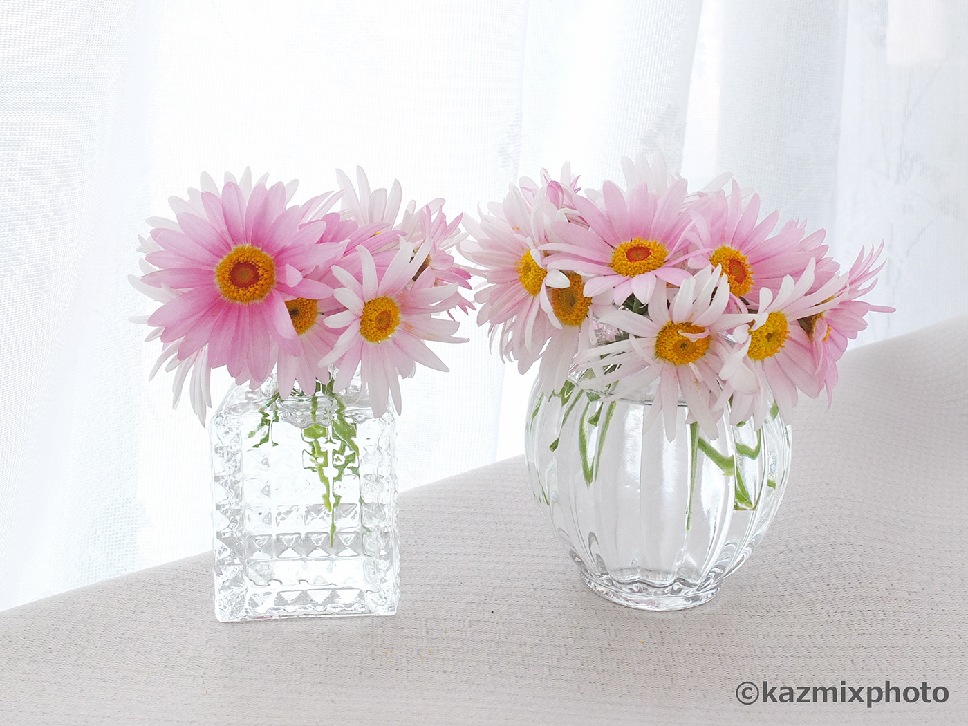 glass Vase Assortment botanical floral Flowers