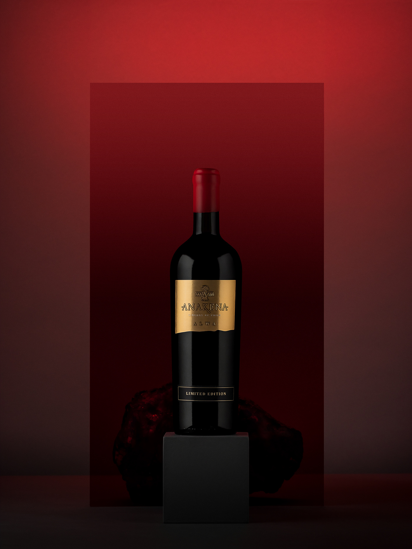 anakena artèfoto retoque fotográfico varietales Viña viñedos vino Vinos Wines WINEYARD