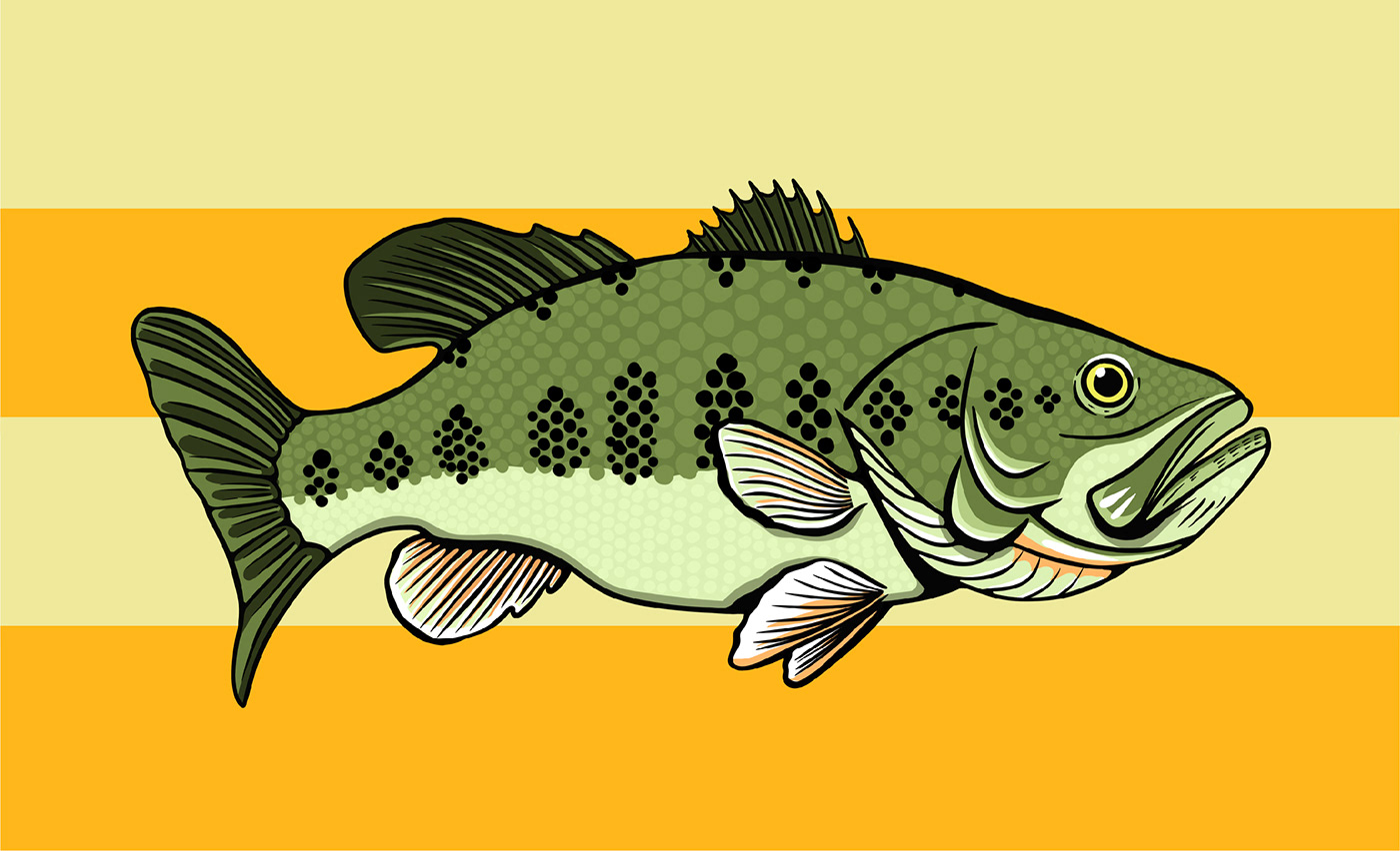 angler badge bass fishing fish fishing gamefish  iconography outdoors sport water