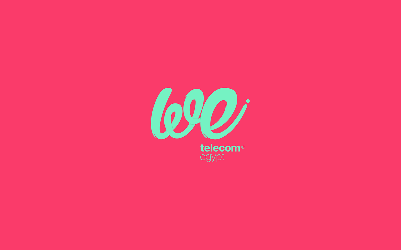 branding  Telecom egypt logo mobile phone colorful