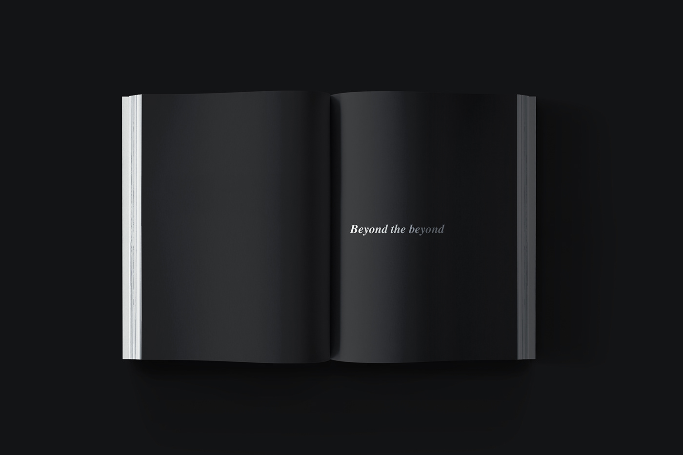book design cover design book self published cover editorial editorial design  Editorial branding branding  libro