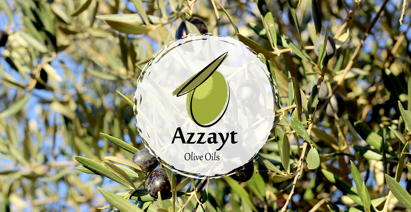 aceite oliva branding  Logotipo