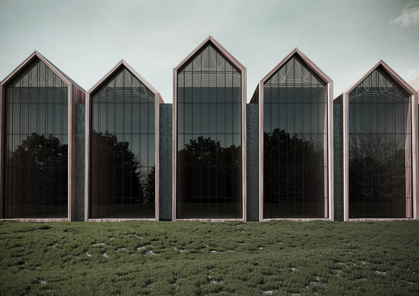 architecture concrete exterior Swimmingpool visualisation wood
