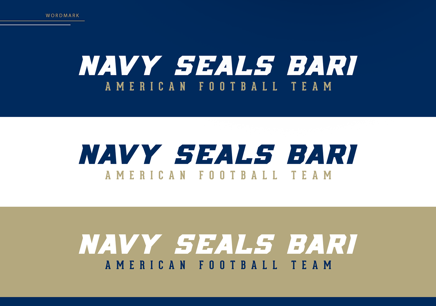 football sports branding  logo Logo Designs navy american football Sports Branding