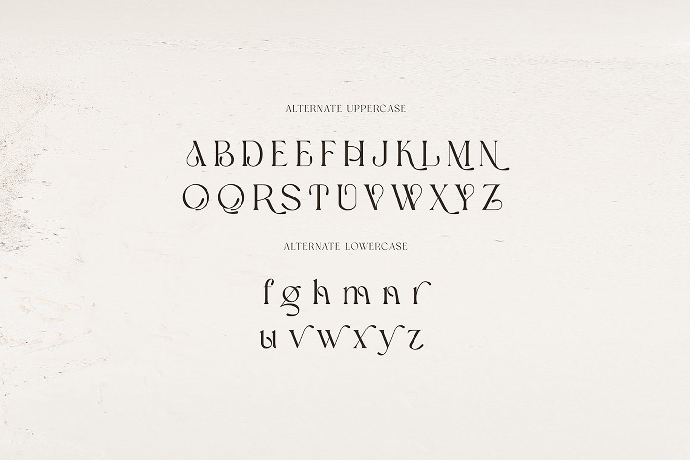 artistic font classic font decorative font display typeface fancy font Fashion font luxury font modern font Serif Font Swirls
