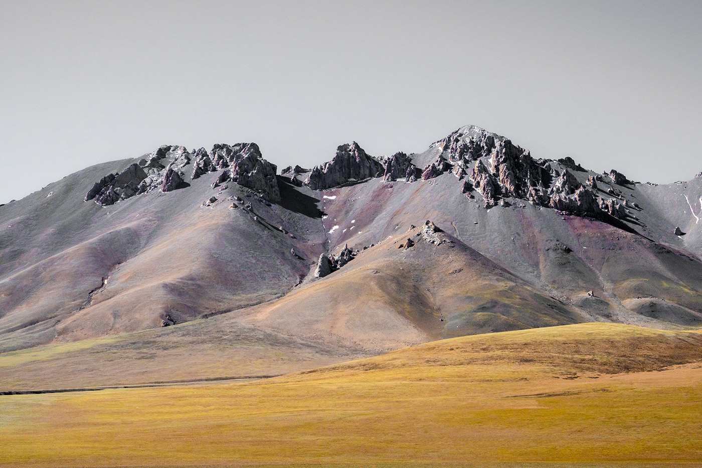 grassland grasslands Landform Landscape Photography  scenery SKY snow mountain tibet