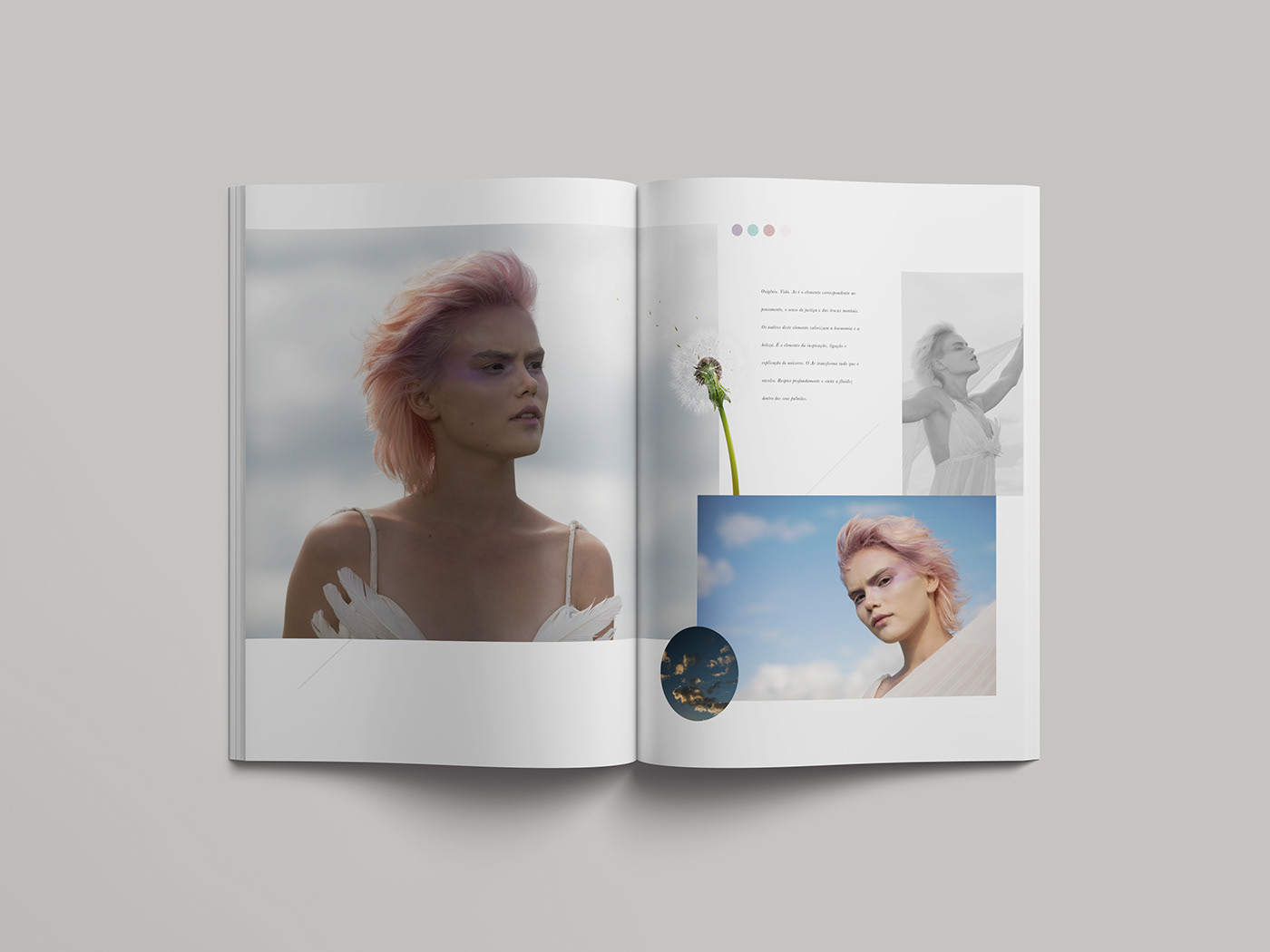 catalog Fashion  hair beauty editorial Photography  design graphic design  magazine