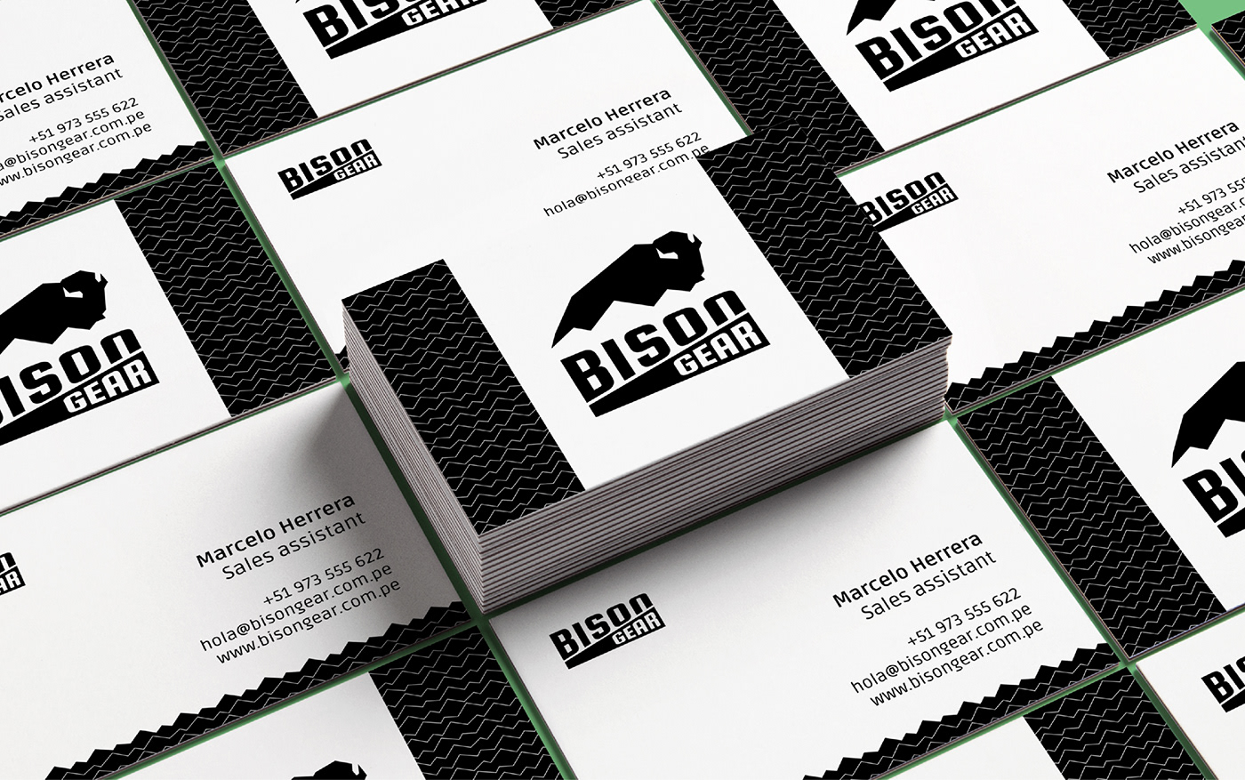 adventure bison brand branding  logo Nature outdoors visual identity wordmark