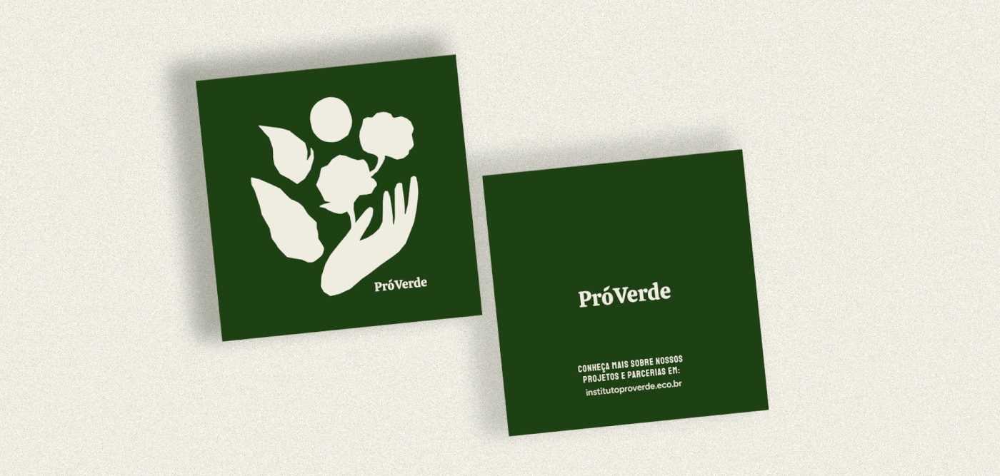 design visual identity adobe illustrator brand identity brazilian design green branding Brasil identidade visual sustentabilidade Meio Ambiente