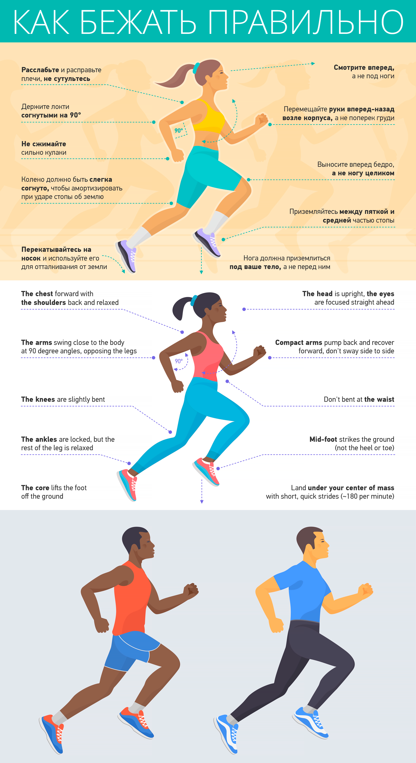 exercise fitness ILLUSTRATION  illustrations infographic infographics jogging running sport vector