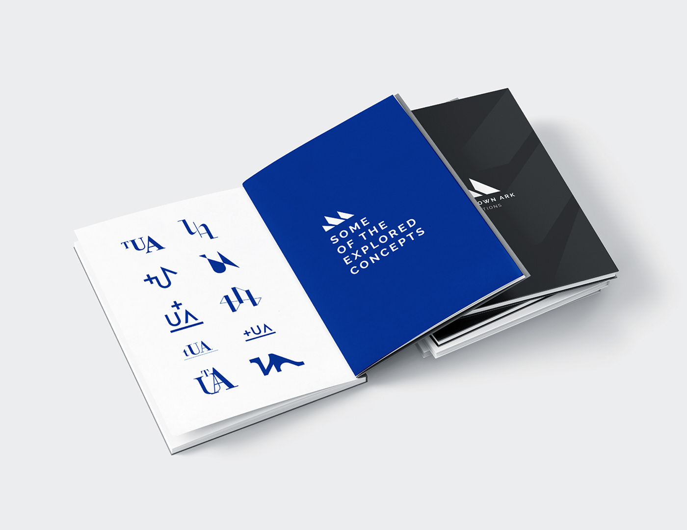 book mockup design for branding