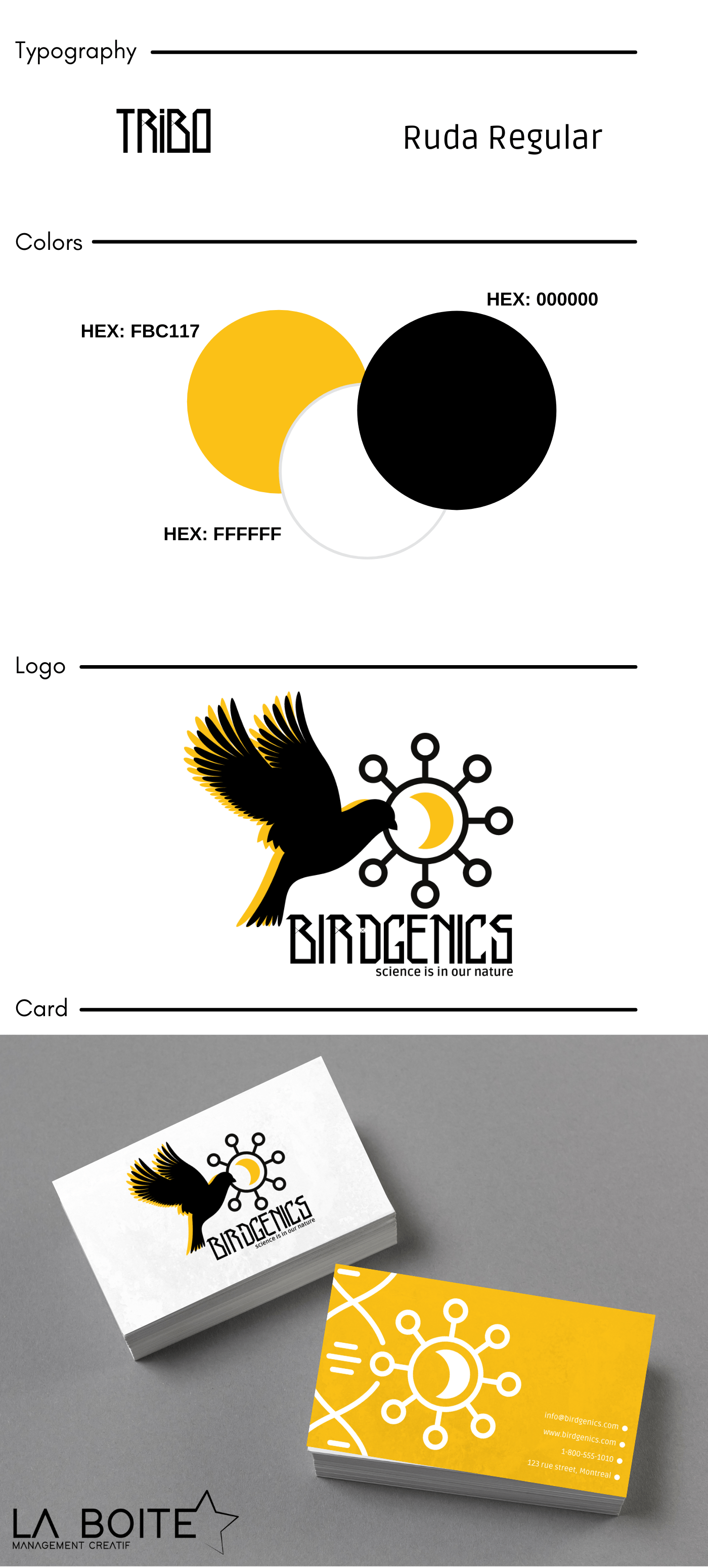 bird Creative Design design genetic logo mood board Project