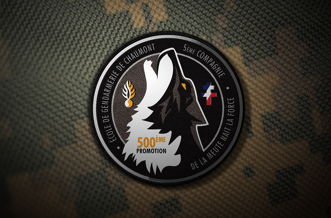 badge chaumont ecusson Gendarmerie rondache roundel wolf loup militaire Military
