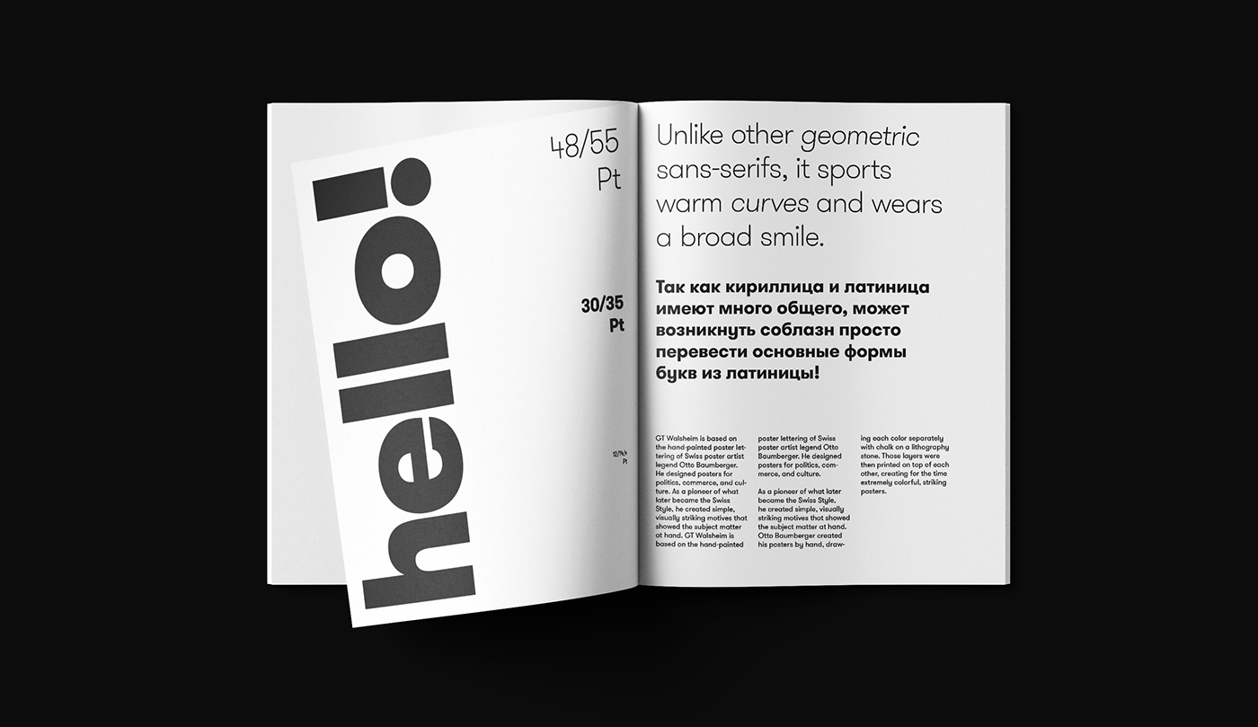 Typeface specimen design typeface specimen Specimen Design graphic graphic design  editorial Icon