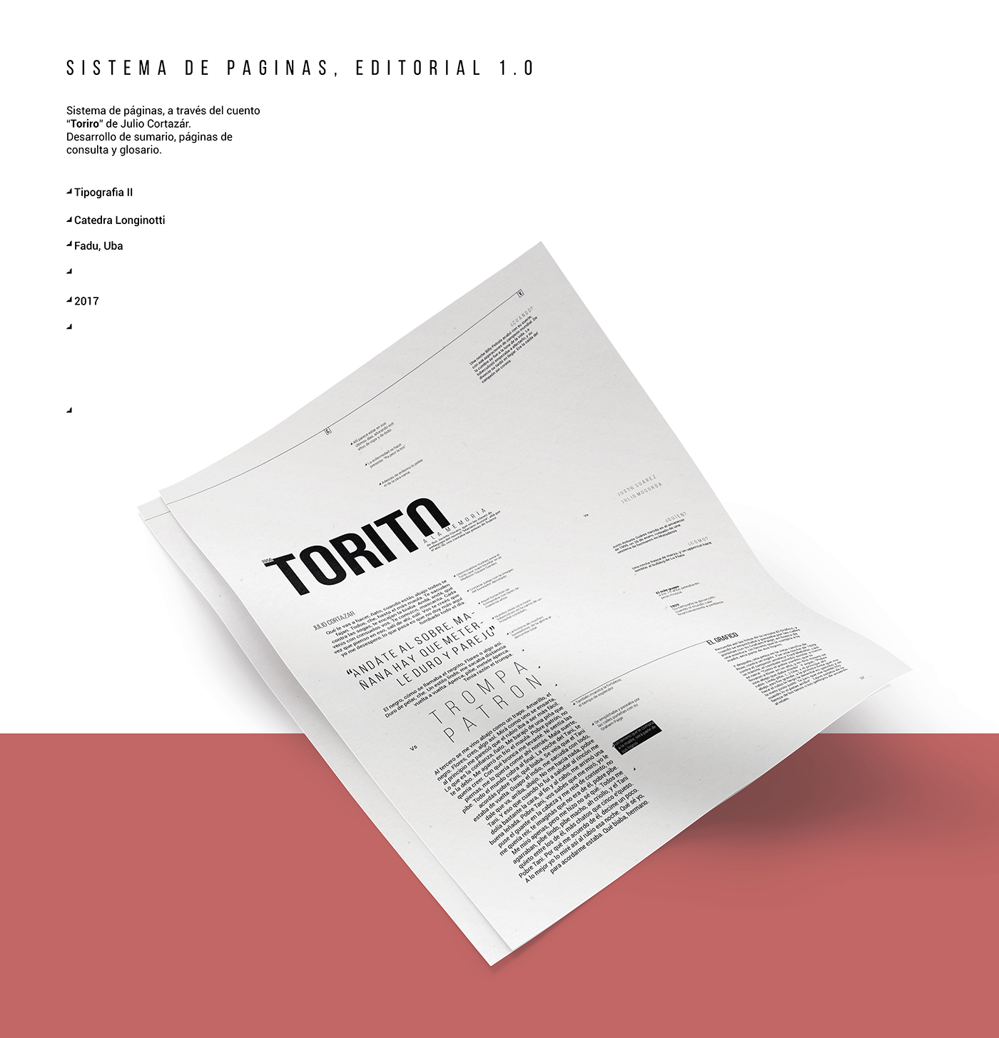 longinotti editorial fadu design brochure type sistema Booklet esquematica infografia