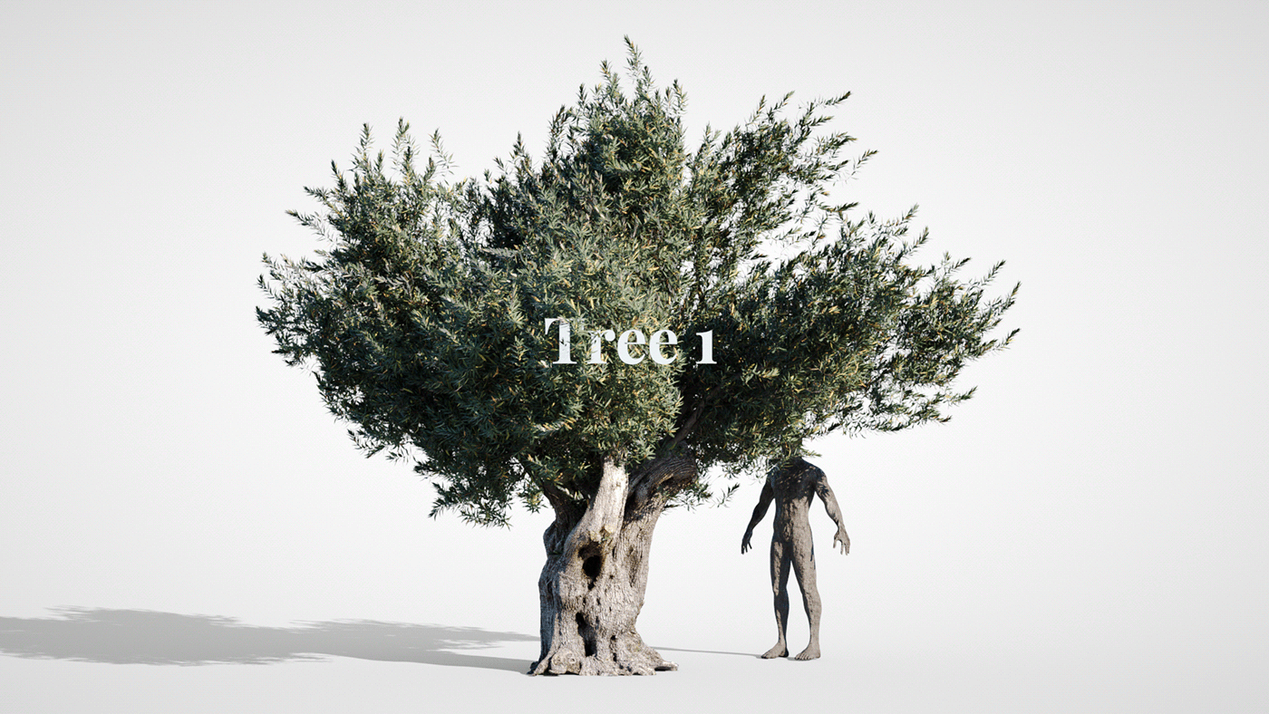 3d scan 3d tree 3d trees 3ds asset 3DScan darstellungsart olive olive tree Photogrammetry tree asset