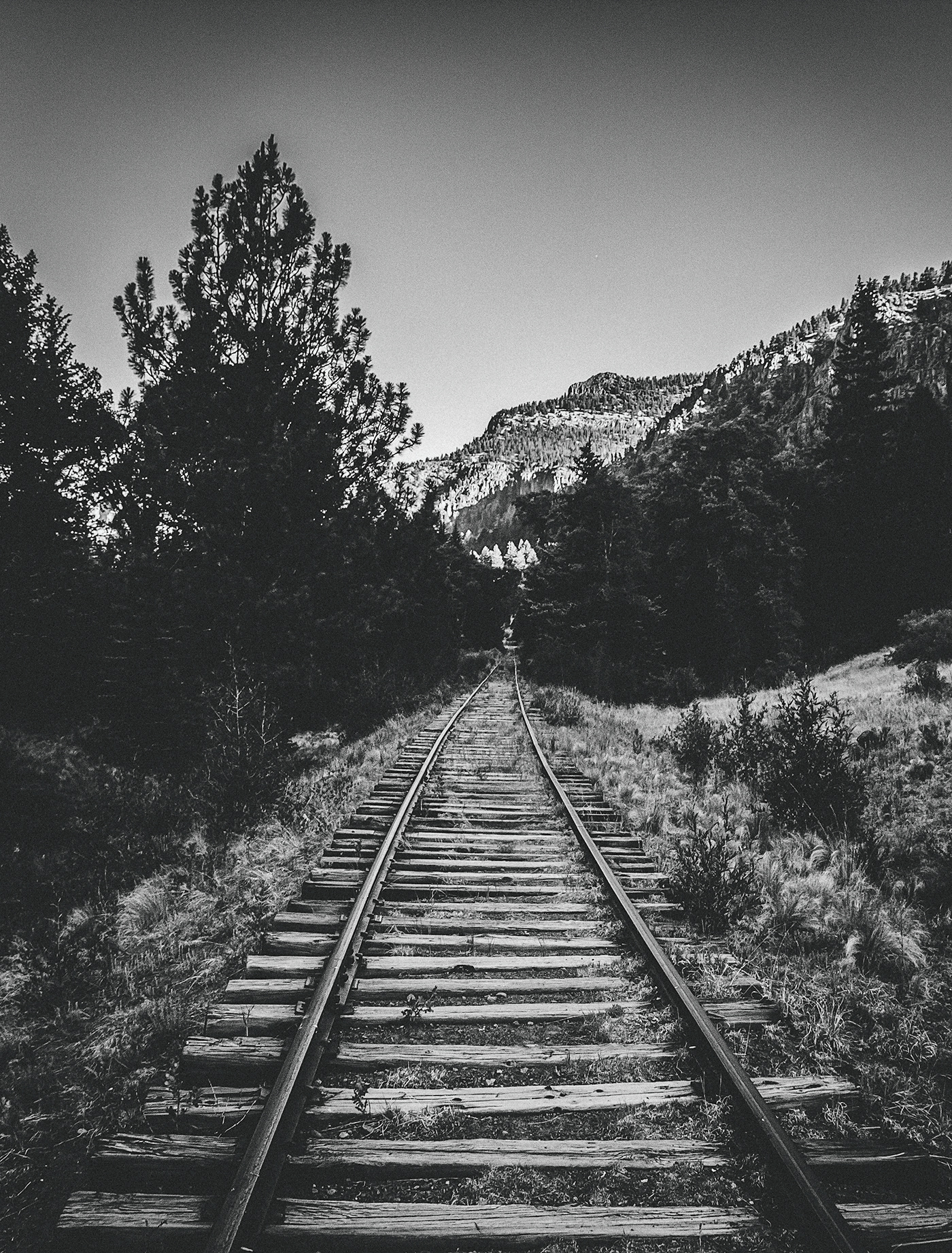 railroad Nature Photography  Landscape
