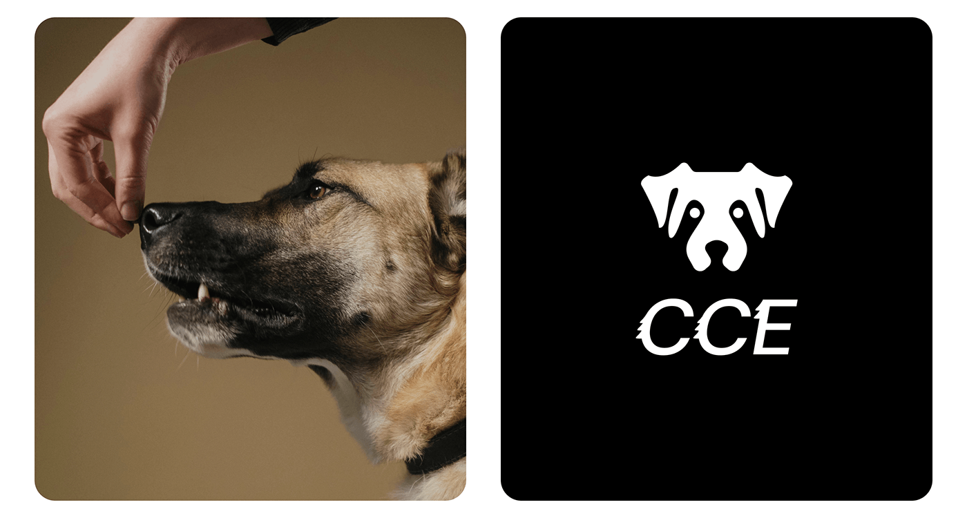 logo Logotype Dog Logo Pet animal identity branding  brand symbol дог