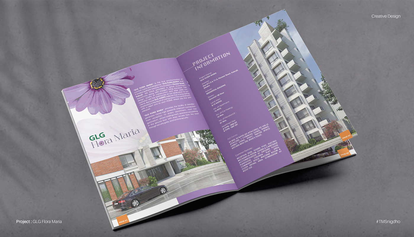 brochure editorial design  graphic design  marketing  