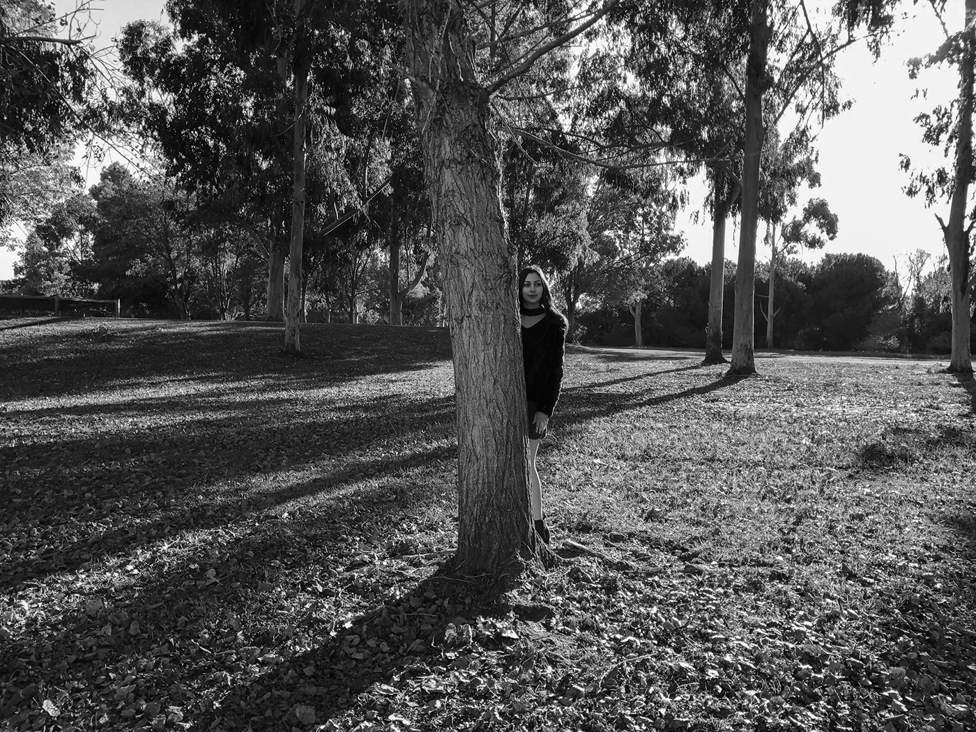 Park model 35mm film Film   black and white digital Sunnyvale