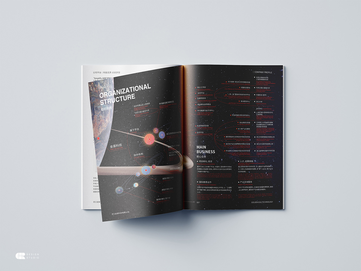 book brochure edition graphic magazine 书籍 宣传册 平面 排版 杂志