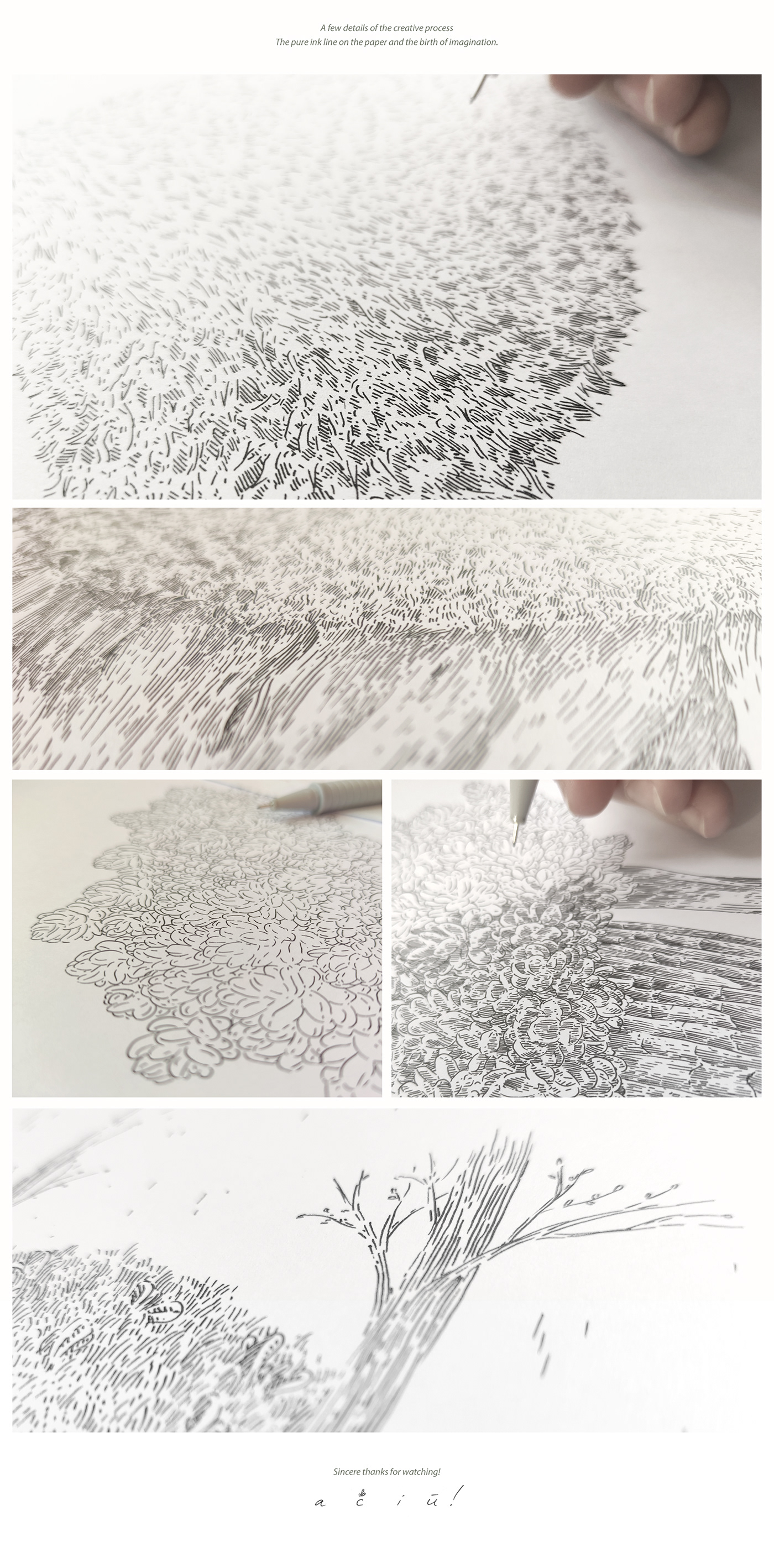 Nature ILLUSTRATION  Drawing  inkillustration paper photoshop characterdesign conceptart inkdrawing art