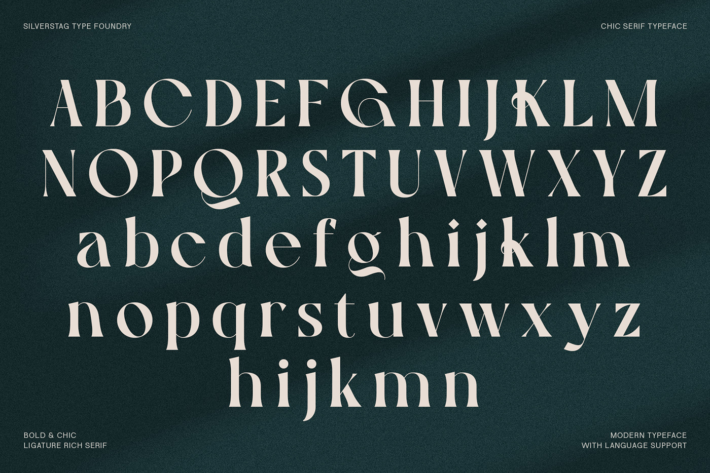 Serif Font serif typeface  Modern Serif Retro serif elegant font condensed serif high-contrast font legible font ligature-rich font sophisticated font