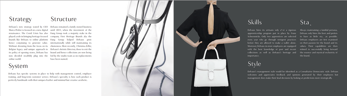 delvaux Fashion  handbags Illustrator luxury Project Antoinette Marangoni