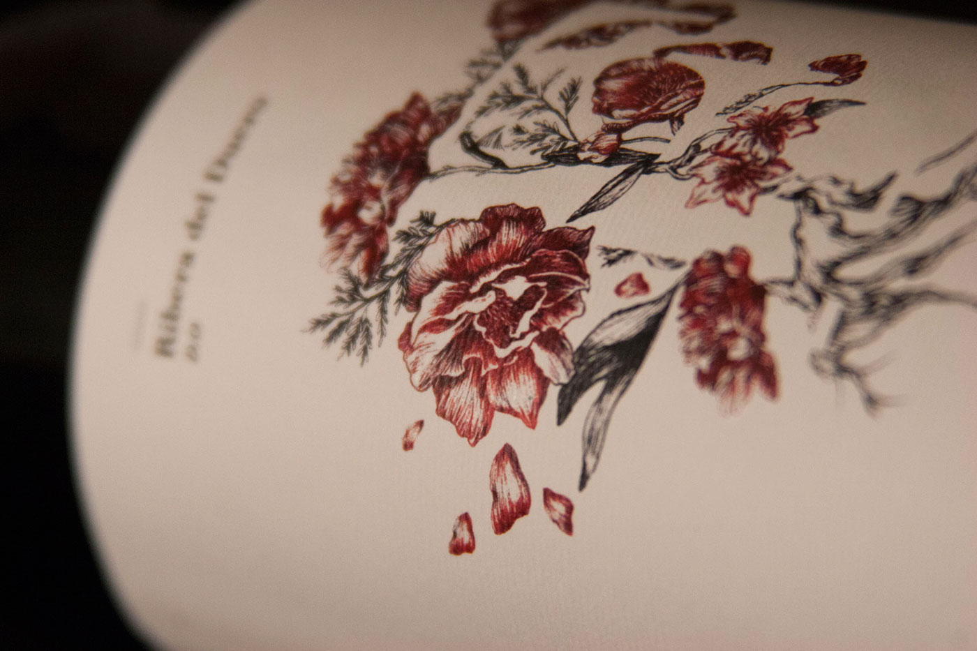 wine Label Metamorphosis Packaging branding  ILLUSTRATION  concept floral abstract