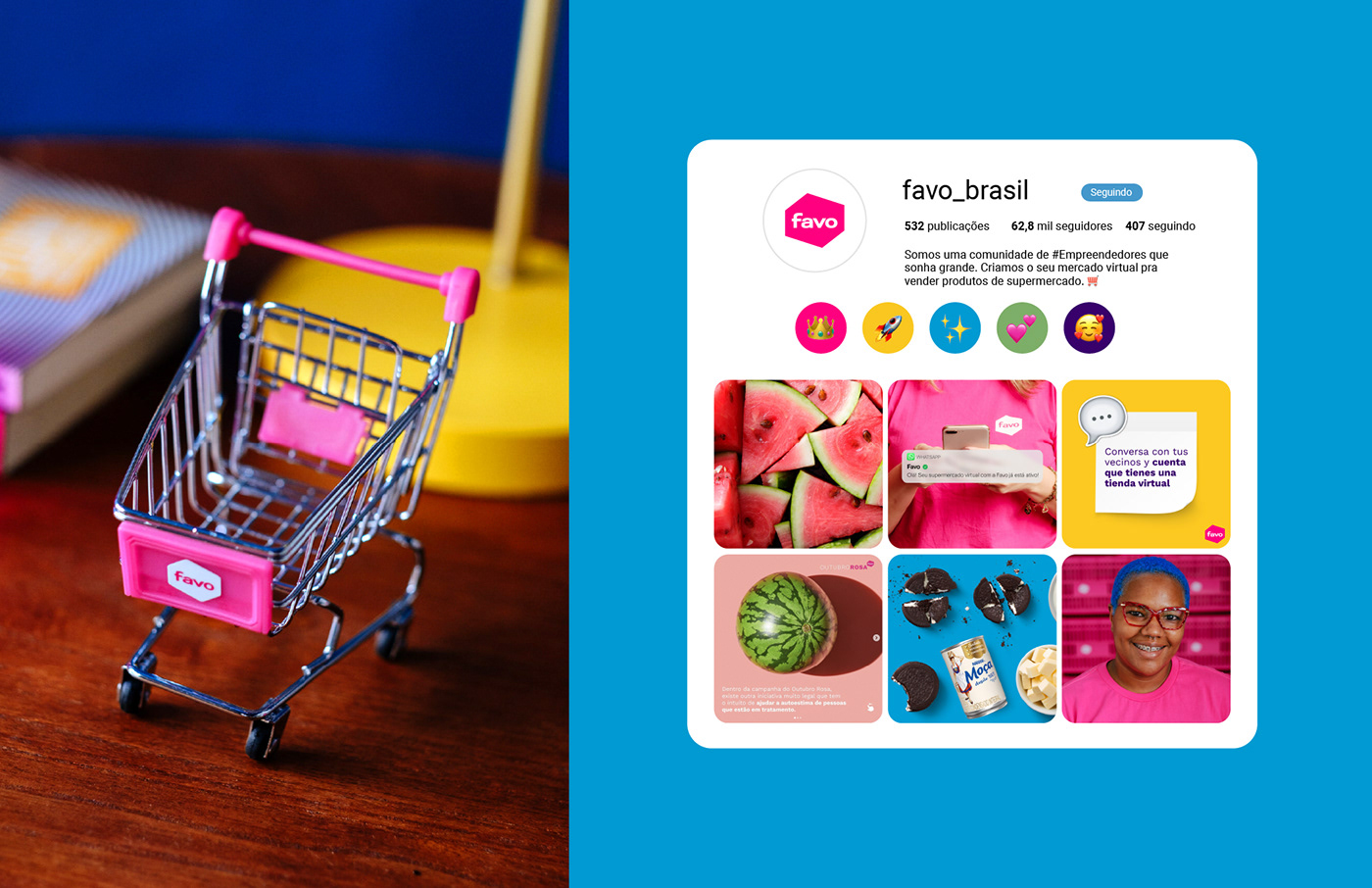 colorful feira Food  Fruit pink Retail Startup branding  logo visual identity