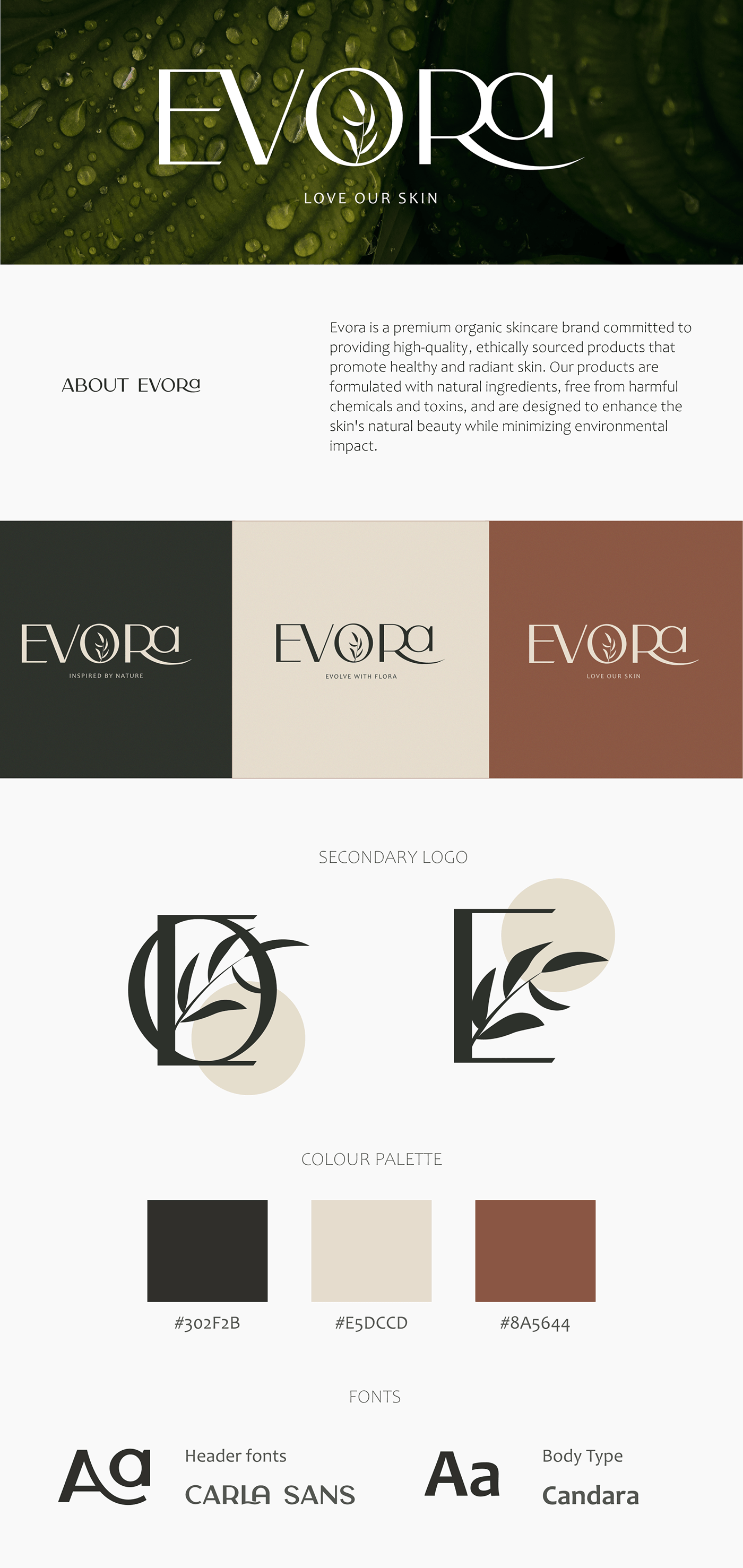 design brand identity Logo Design Logotype branding  Brand Design adobe illustrator visual identity marketing  