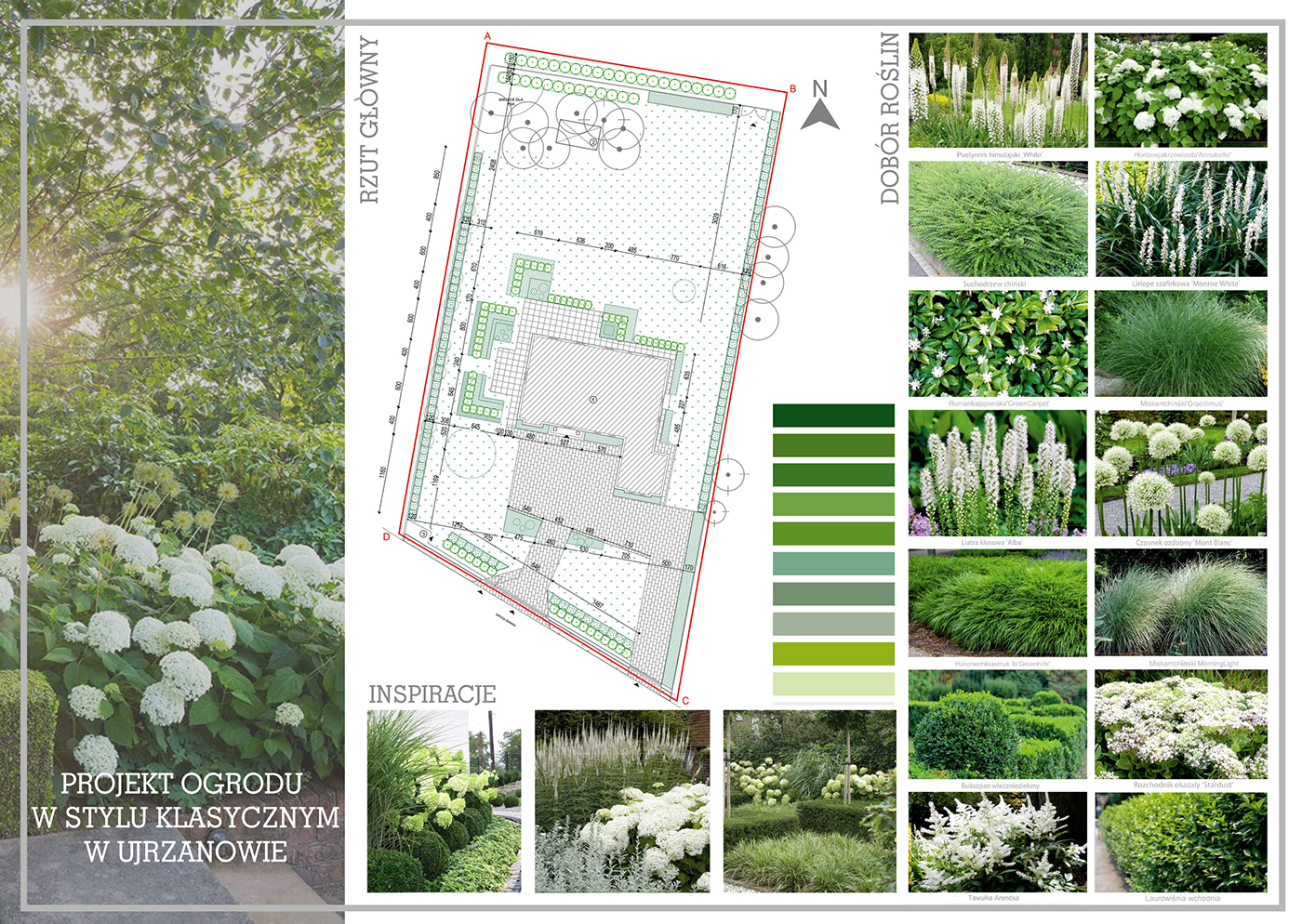 architektura krajobrazu projekt ogrodu Rośliny ogród