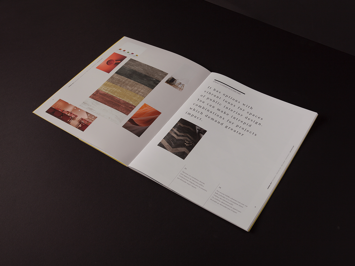editorial graphicdesign ceramica orange blue book Portada