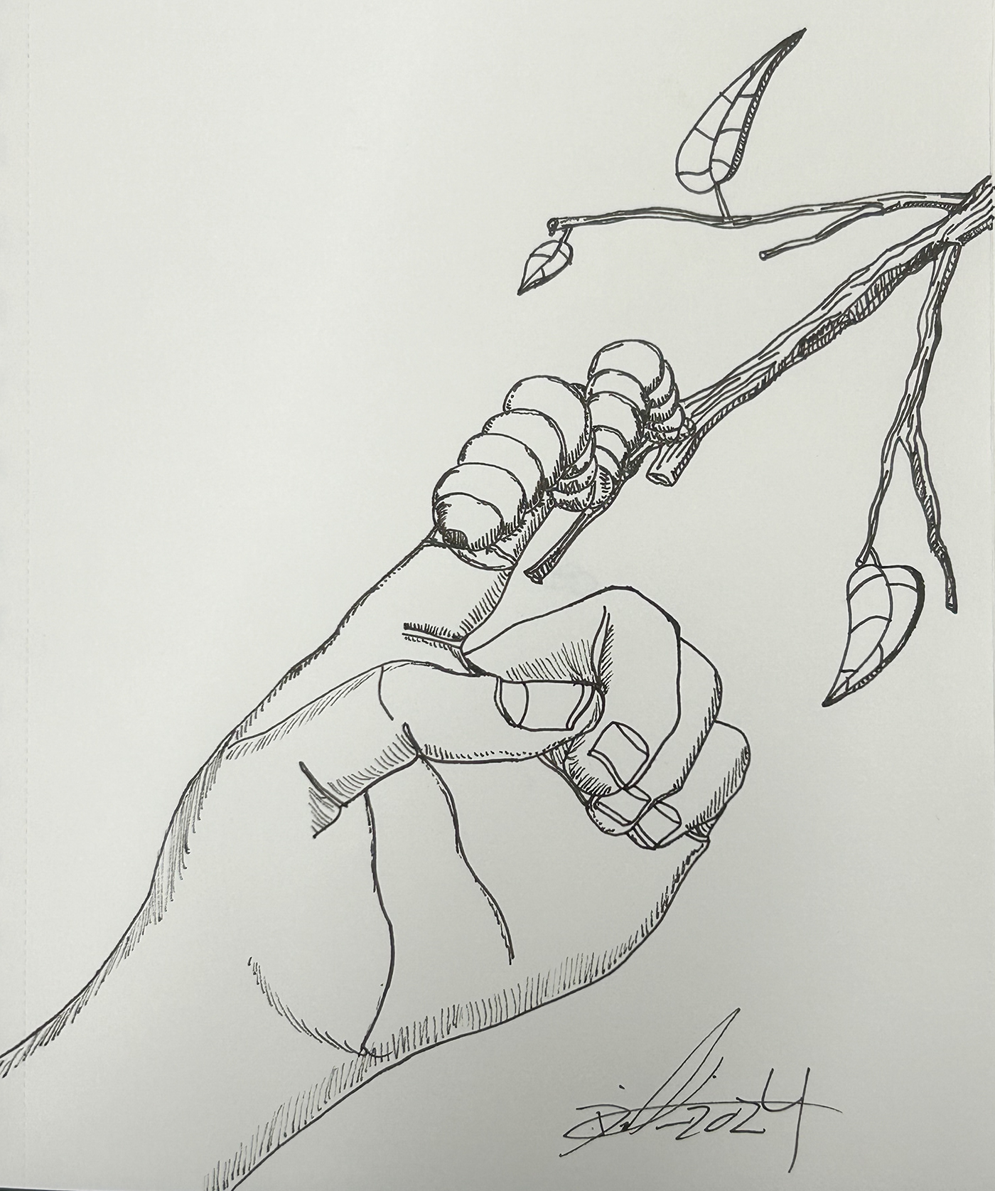 Caterpillar finger branch