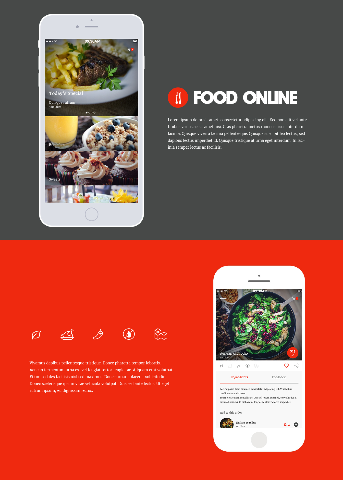 Online food order iphone app