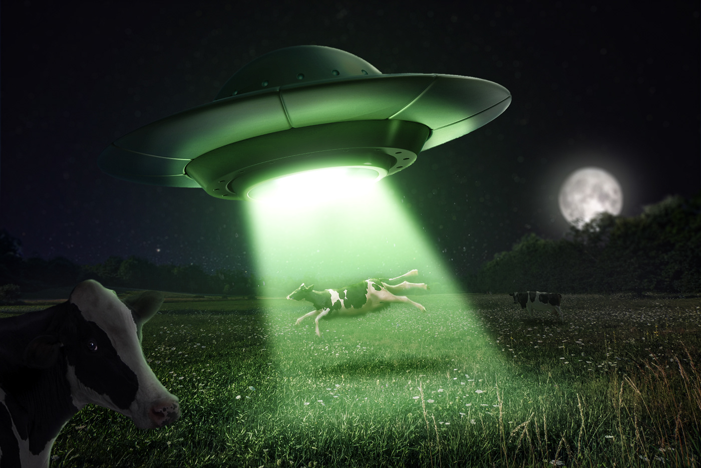 alien Digital Art  fantasy sci-fi UFO