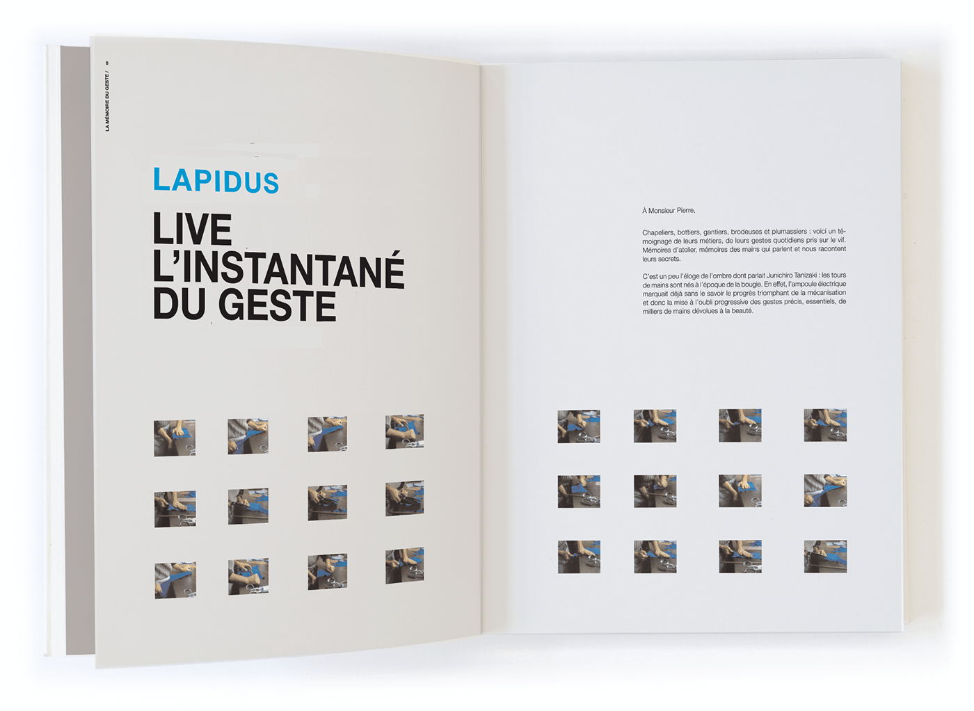 Adobe Portfolio book art book beaux-livres livre cover couverture edition communication visuelle Art Director directeur artistique graphiste maquettiste chanel Mode