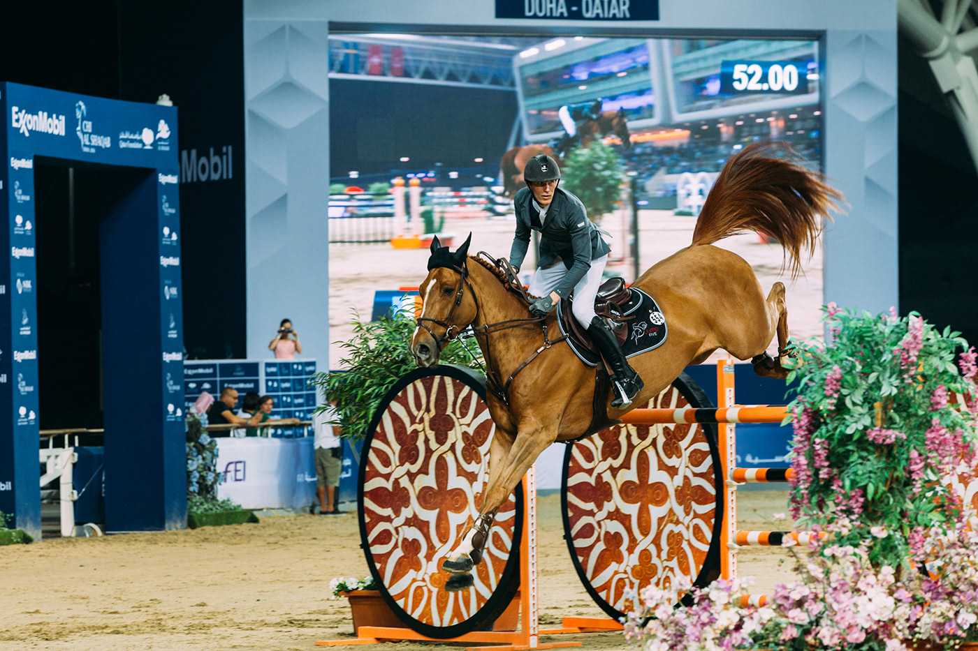 doha Qatar Travel Photography  horses Show jumping