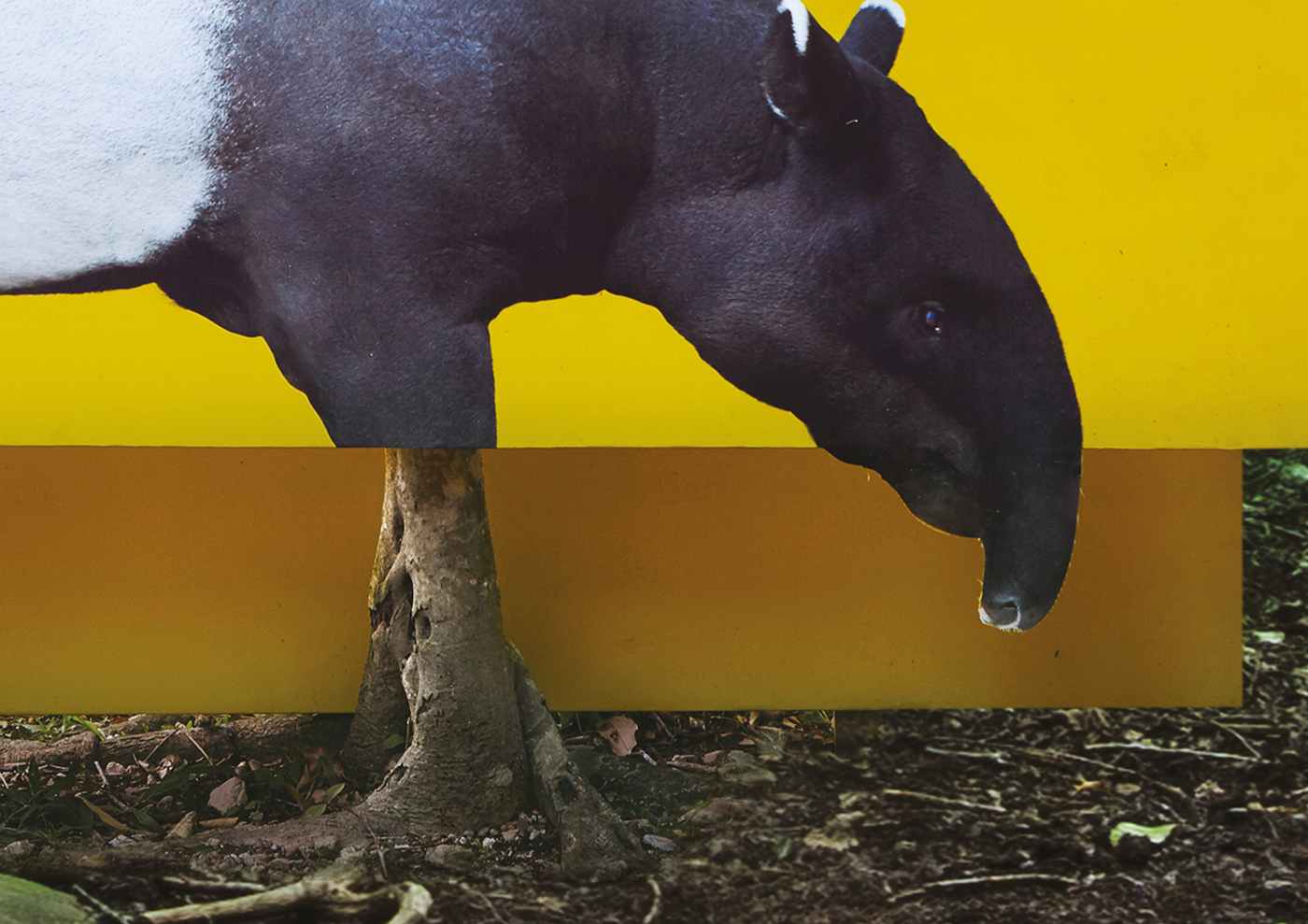 MNS Tapir elephant Samba Deer billboard Deforestation awareness animal Nature Amazon malaysia canneslions Cannes