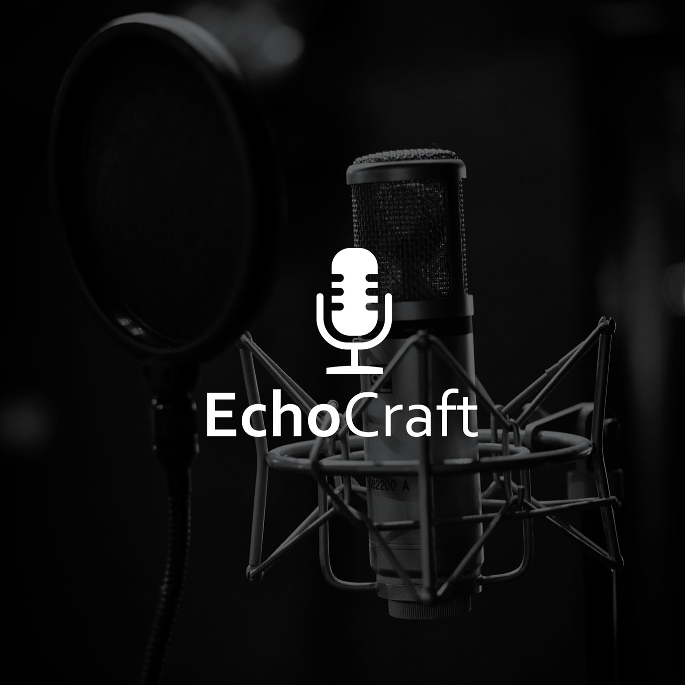 Echo Craft logo: A stylized microphone symbolizing sound recording and dubbing.
