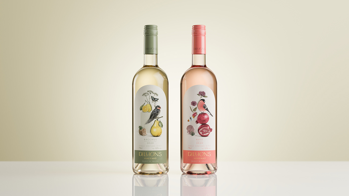 botanical illustration Brand Design branding ILLUSTRATION label design visual identity watercolour wine wine label Wine Packaging