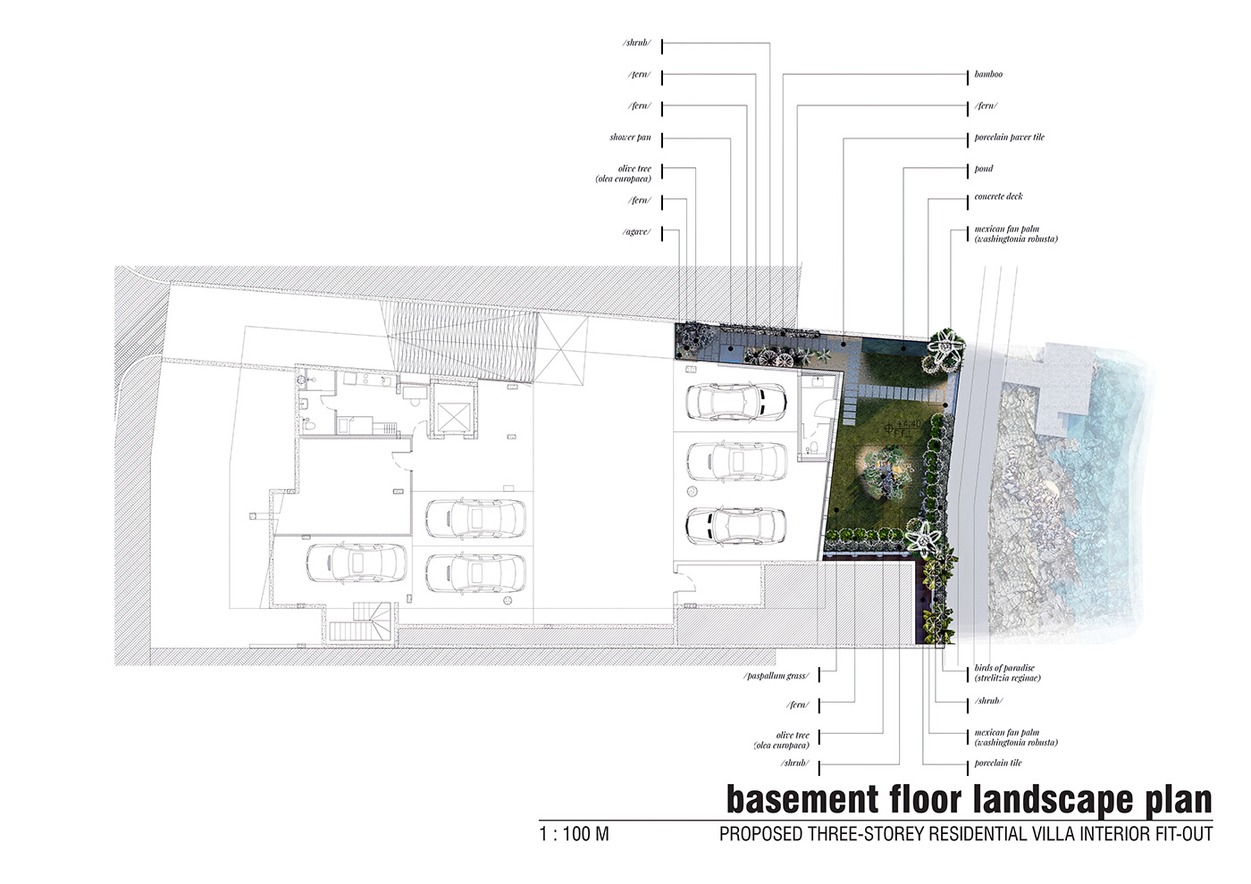 Landscape landscape plan design Render rendering lumion InDesign Layout jetty