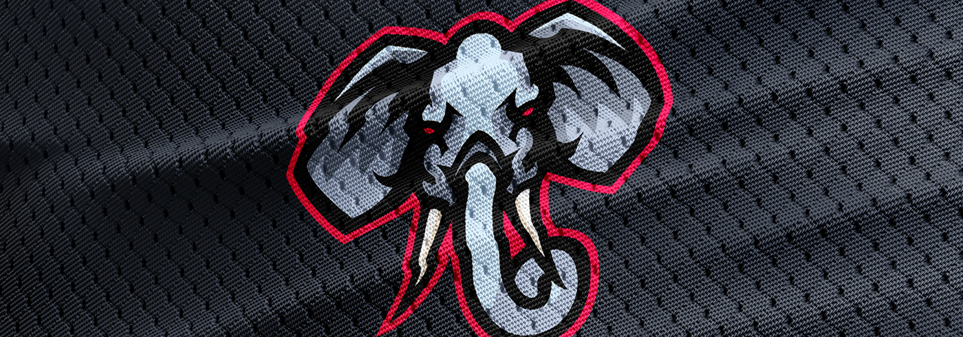 Mascot jersey E-Sports sports logo TUIGSE creative visual magneto elephant lion
